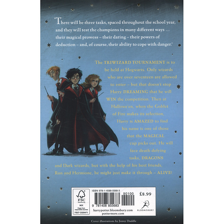 Harry Potter and the Goblet of Fire - Ảnh 2