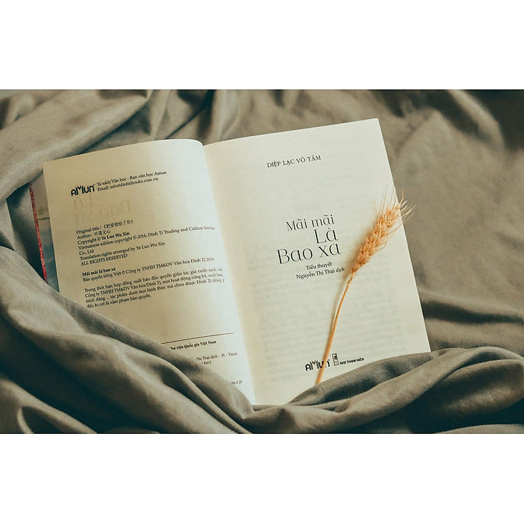 Mãi mãi là bao xa (Tái bản 2021) - Ảnh 2