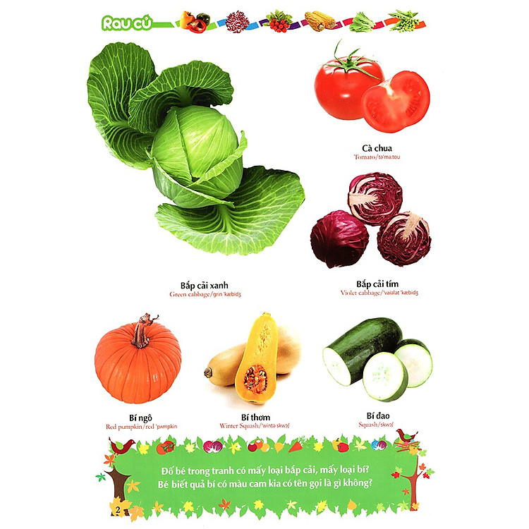 Từ điển tranh về Rau-Củ-Quả-Hoa (ML) - Ảnh 2