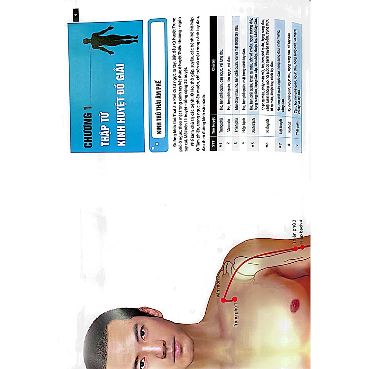 Đồ giải Kinh Lạc Huyệt Vị Nam giới - Ảnh 4