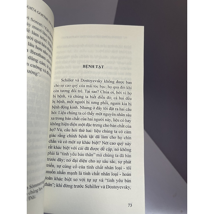 SỰ TƯƠNG ĐỒNG GIỮA GOETHE VÀ TOLSTOY - Ảnh 4