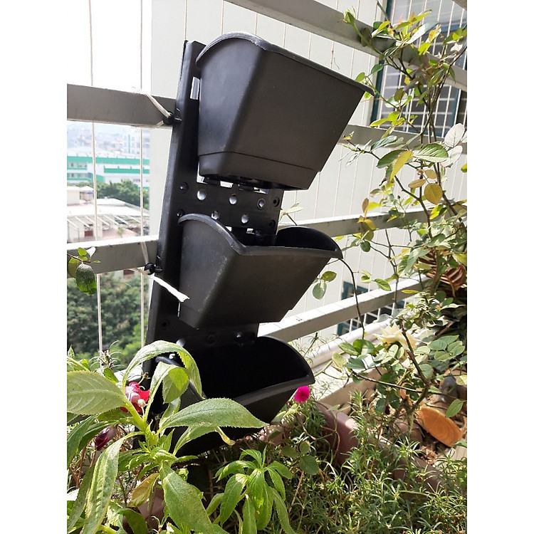 COMBO 3 BỘ CHẬU TREO VƯỜN TƯỜNG THẲNG ĐỨNG