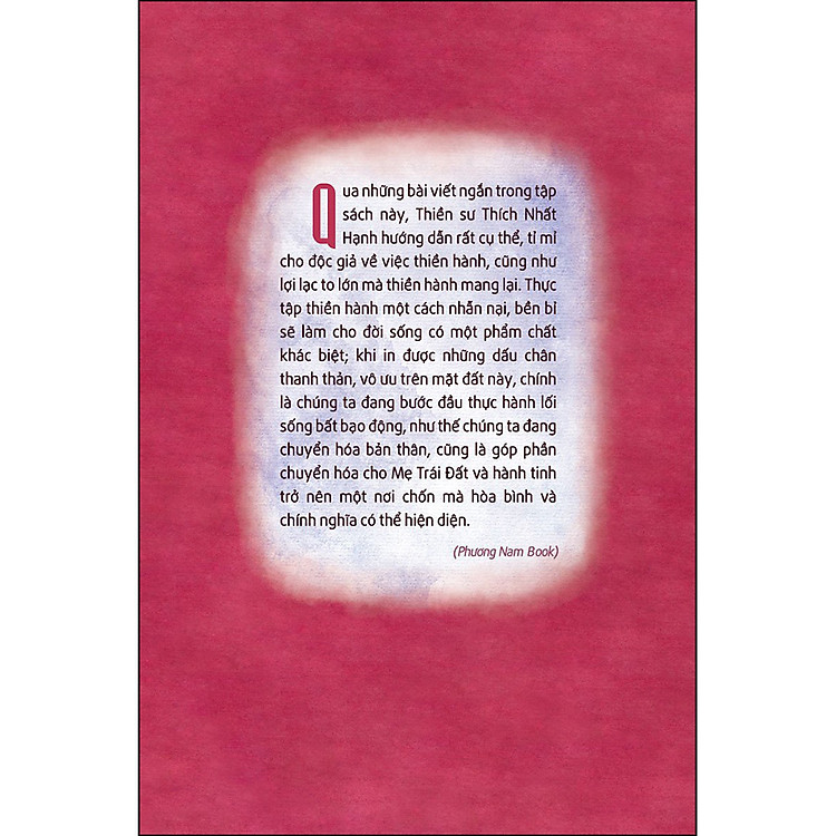 Thiền Hành Yếu Chỉ (Tái Bản Lần 4) - Ảnh 2