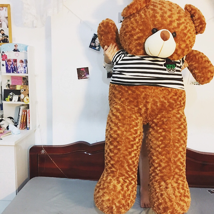 Thú bông Gấu Teddy màu nâu - Khổ vải 1M6 cao 1M4