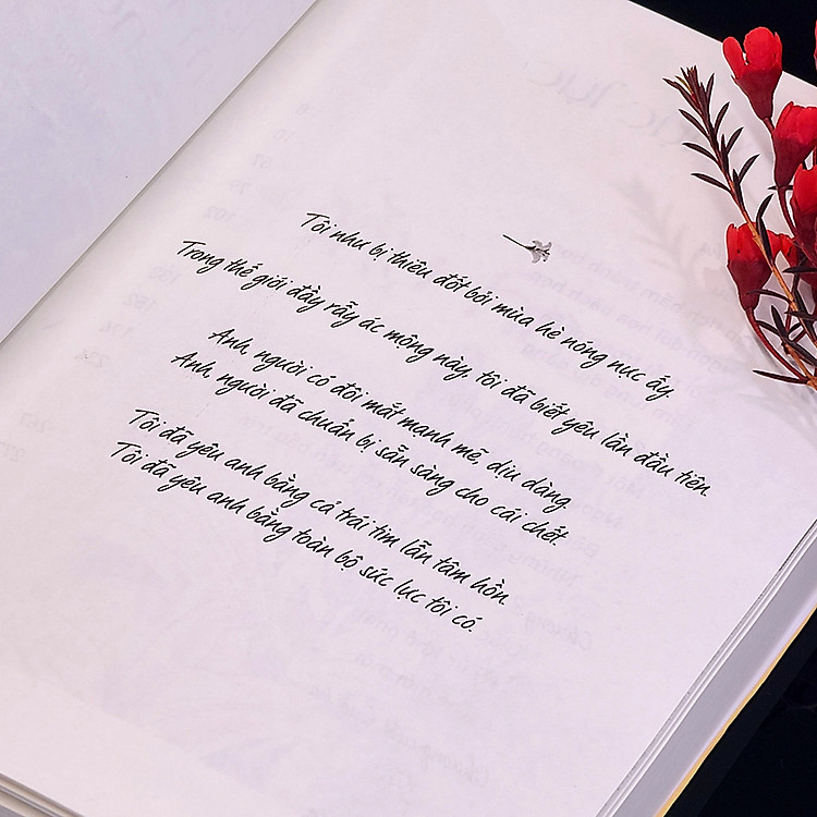 Nếu Gặp Lại Em Trên Ngọn Đồi Hoa Nở - Ảnh 6