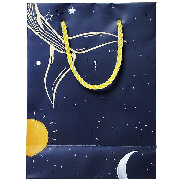 Túi Đựng Quà 16 x 22 x 8 cm - The Whale - Ảnh 3