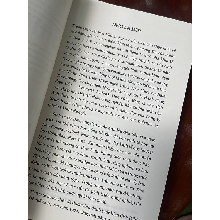 NHỎ LÀ ĐẸP - E. F. Schumacher - Ảnh 5