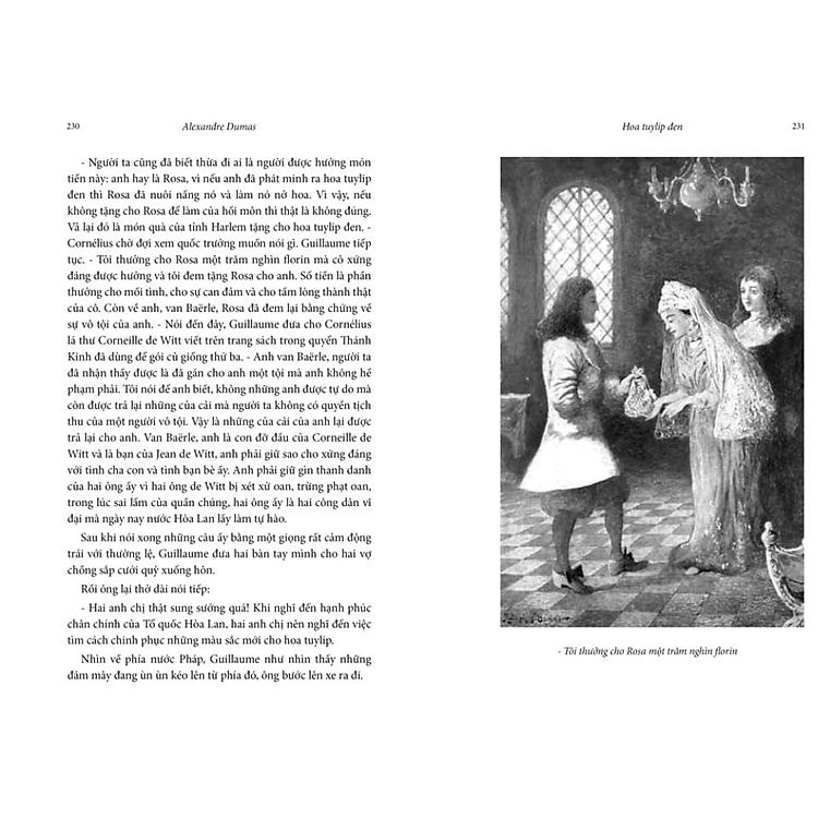 Hoa Tuylip Đen (Tái Bản) - Ảnh 2