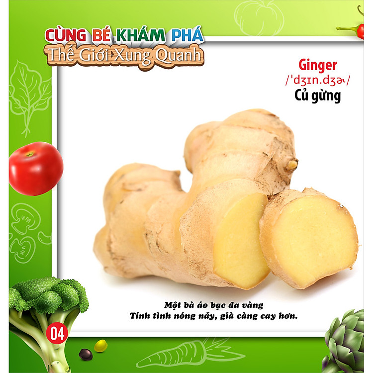 Song Ngữ Anh - Việt CBKPTGXQ - Rau Củ - Ảnh 4