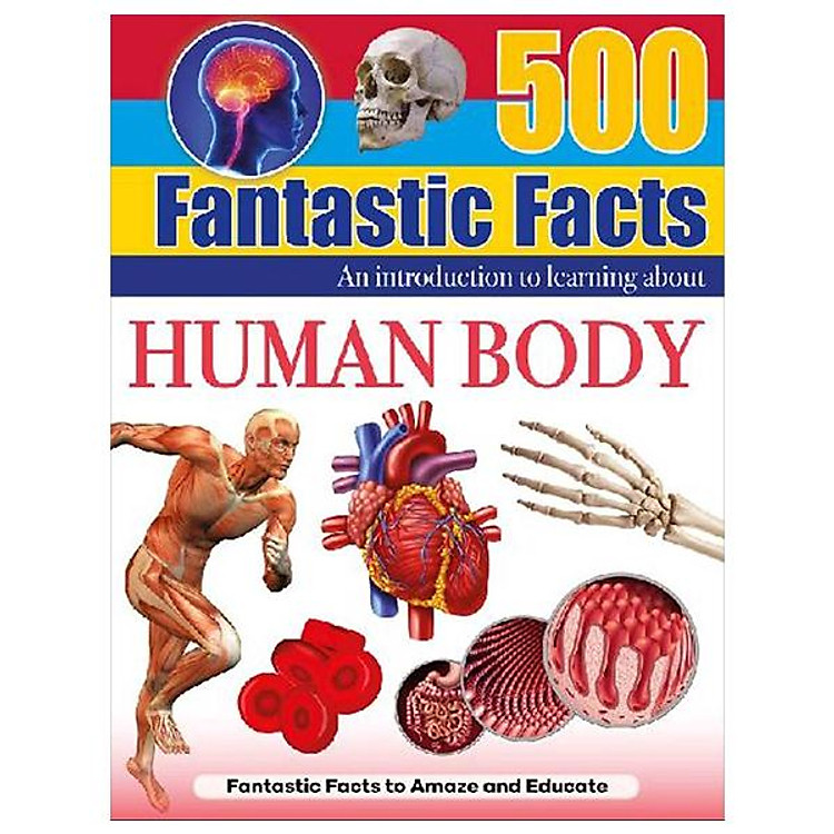 500 Fantastic Facts – Human Body