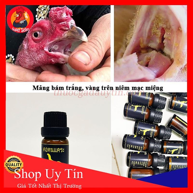 Đẹn Họng 10g-Dùng Cho Gà Bị Đẹn Họng-Nấm Lưỡi-Nấm Họng-Nấm Diều-Thailan