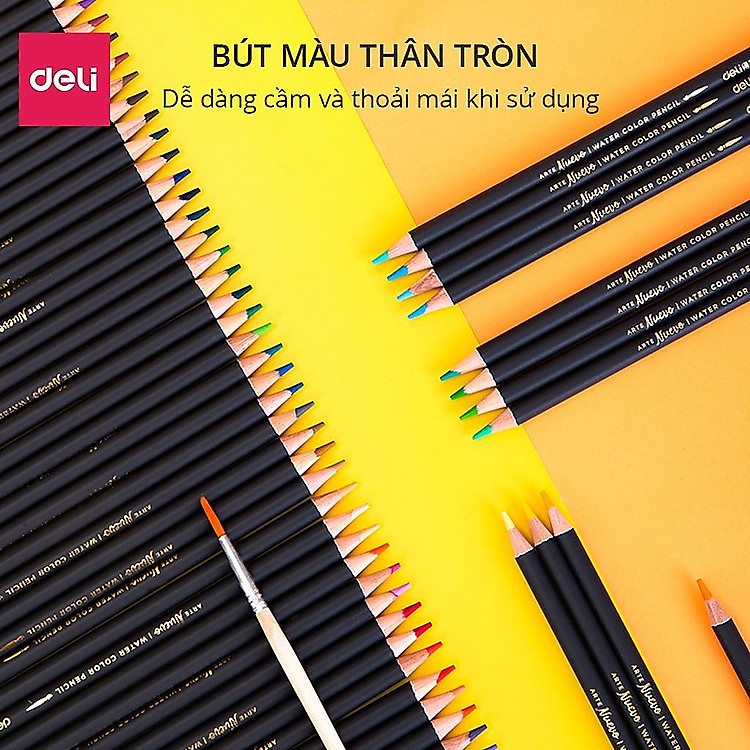 Bút Chì Màu Deli (24 màu) - Ảnh 7