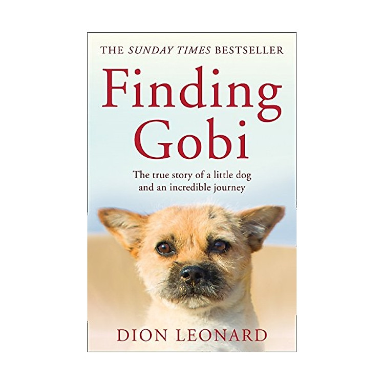 Finding Gobi (Main Edition)