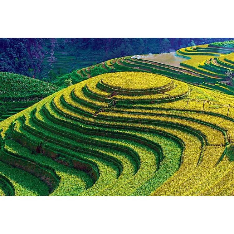 Mua Tranh xếp hình Ruộng bậc thang Mù Cang Chải Chính hãng Giá tốt - Hình ảnh 3