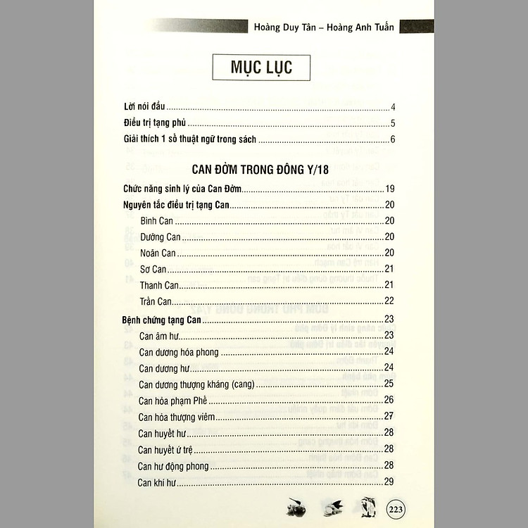 Điều Trị Tạng Phủ Theo Đông Y - Ảnh 2