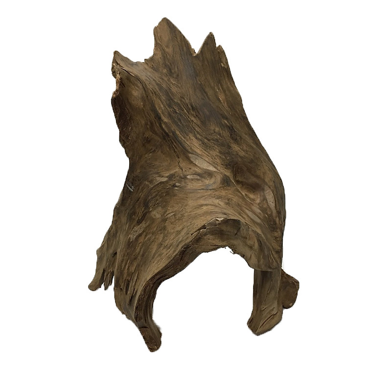 Gỗ lũa ngọc am tự nhiên phong thủy (Mã 50 Cao 37cm x 21cm x 2.1kg)