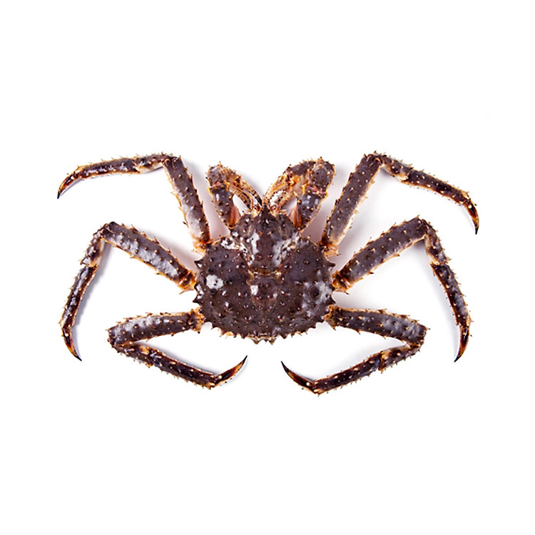CUA HOÀNG ĐẾ (KING CRAB) (CUA ALASKA)