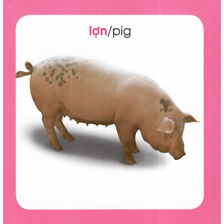 Từ Điển Hình Ảnh Cho Bé: Động Vật - 2023 - Ảnh 2