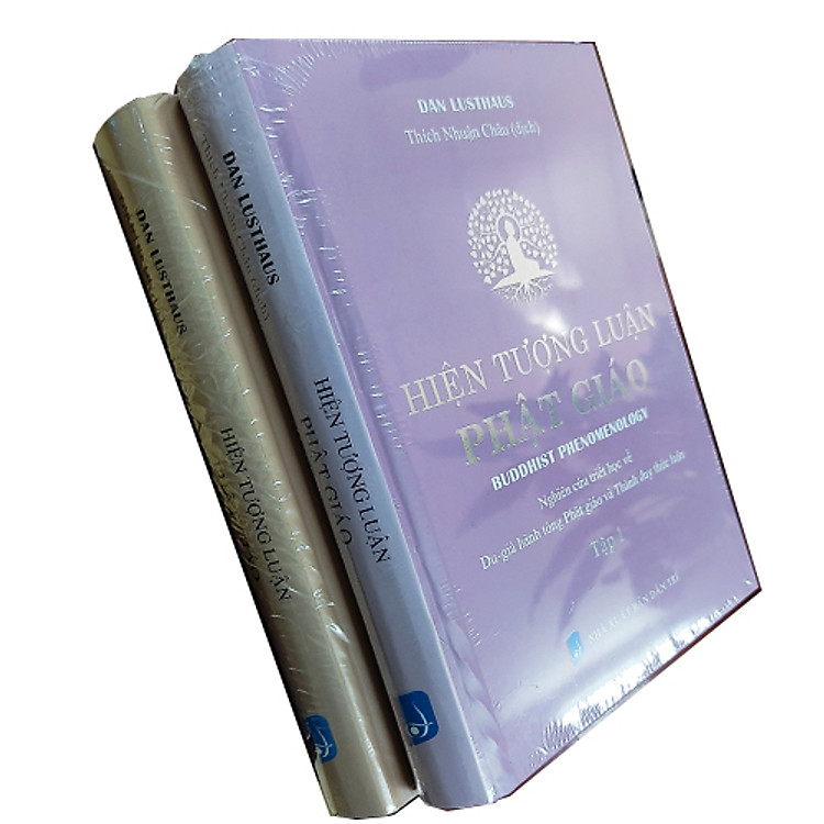 Hiện tượng luận Phật giáo