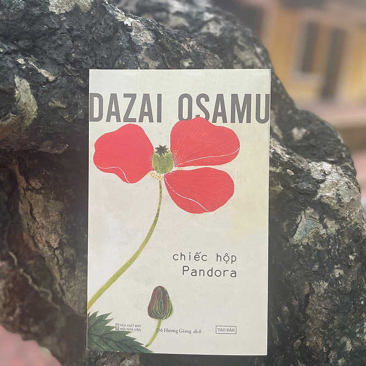 Chiếc hộp Pandora (TB 2024) - Ảnh 3