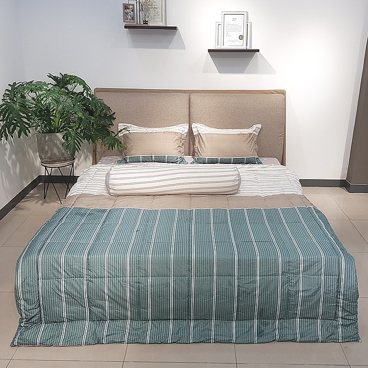 Bộ Ga Bọc Everon Lite ELM018