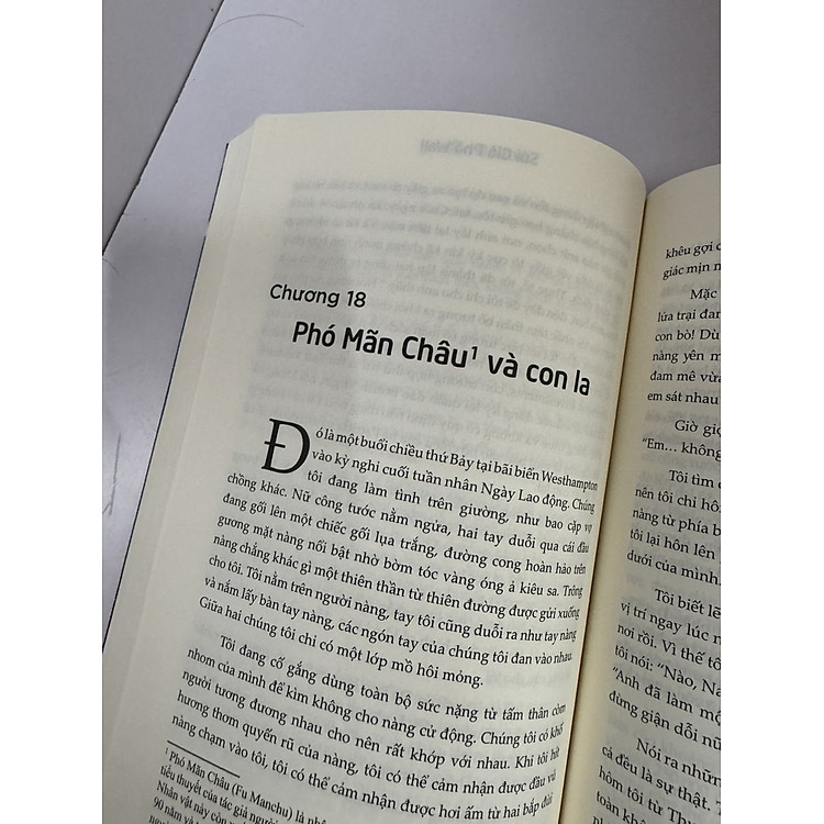 SÓI GIÀ PHỐ WALL (PHẦN I) - Ảnh 4