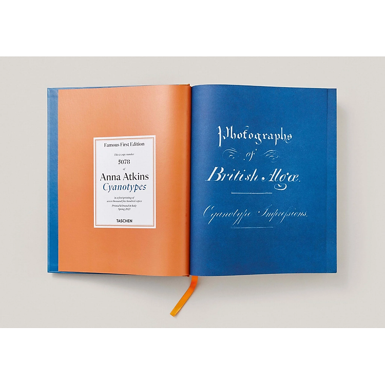 Anna Atkins: Cyanotypes - Ảnh 3
