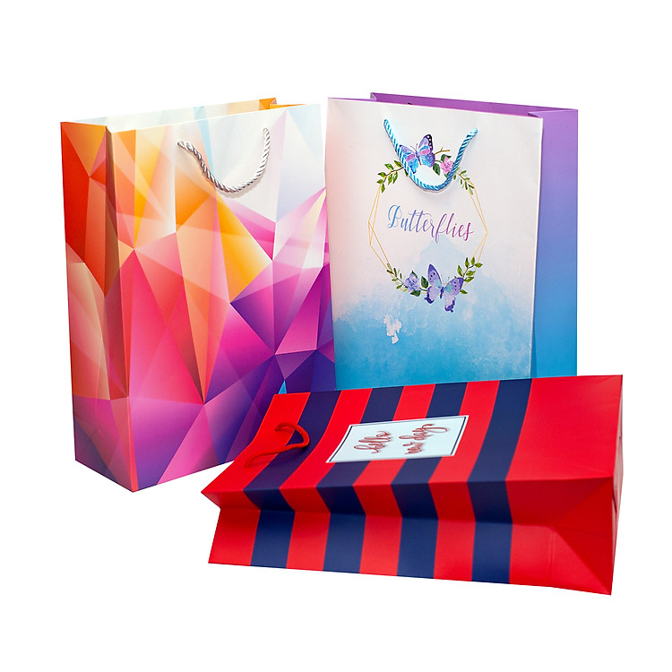 Túi Dây Sơ Mi TT115 (36 x 27 x 11 cm)