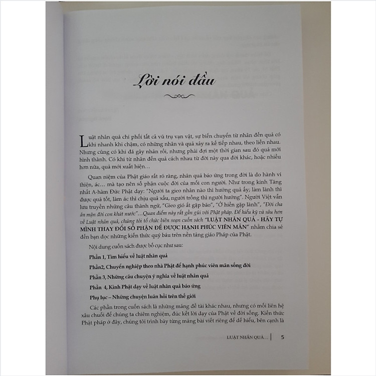 Luật Nhân Quả - Ảnh 2