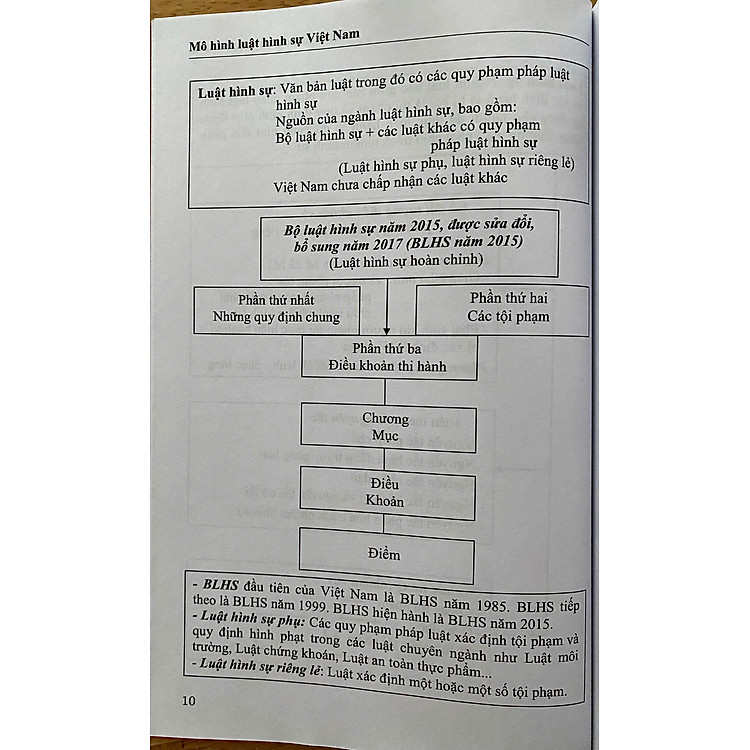 Mô Hình Luật Hình Sự Việt Nam - Ảnh 4