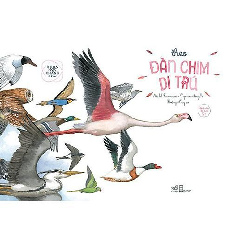 Khoa Học Chẳng Khó – Theo Đàn Chim Di Trú