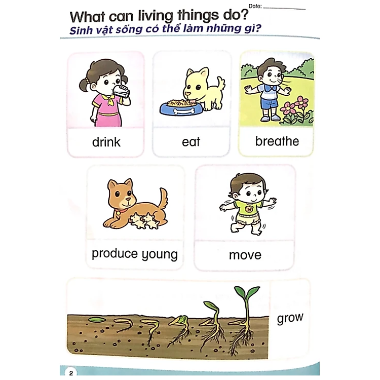 Khoa Học Tiền Tiểu Học Song Ngữ - Sách Học Tập 4 - Ảnh 5