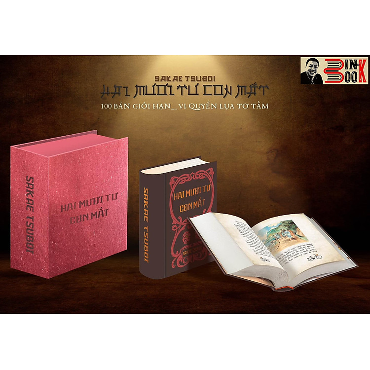 HAI MƯƠI TƯ CON MẮT - Ảnh 2