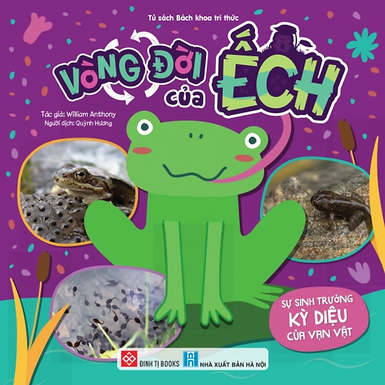 Sách - Sự sinh trưởng kì diệu của vạn vật - Đinh Tị Books