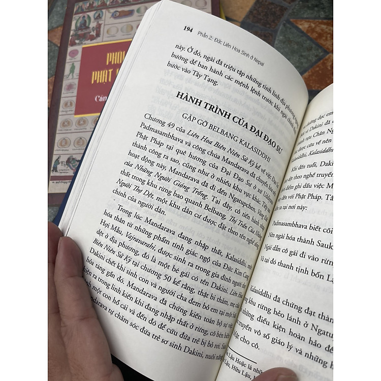 THEO CHÂN ĐẠO SƯ – ĐỨC LIÊN HOA SINH Ở NEPAL (Tập 1) - Ảnh 6