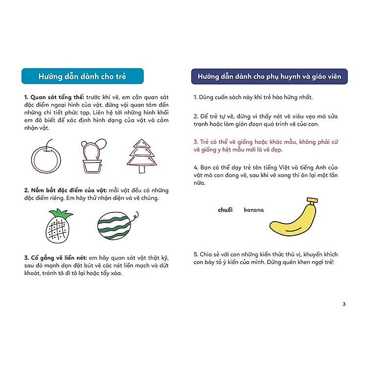 VẼ VẠN VẬT TỪ NHỮNG NÉT ĐƠN GIẢN - Vẽ cỏ cây hoa lá - Ảnh 3