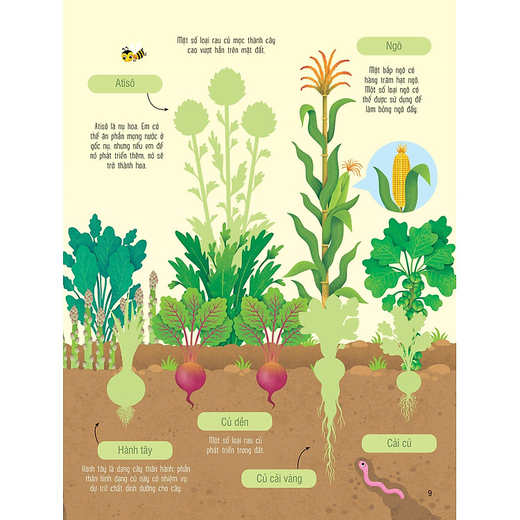 First Sticker Book - Sách Dán Hình Đầu Đời Cho Bé - Trái Cây Và Rau Củ - Ảnh 2