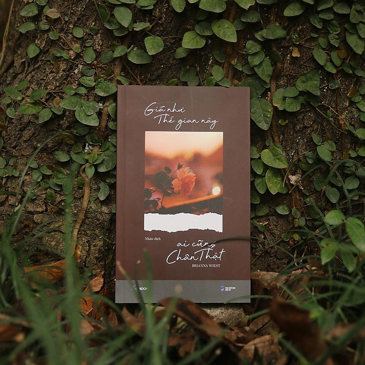 Giá Như Thế Gian Này Ai Cũng Chân Thật - Ảnh 5