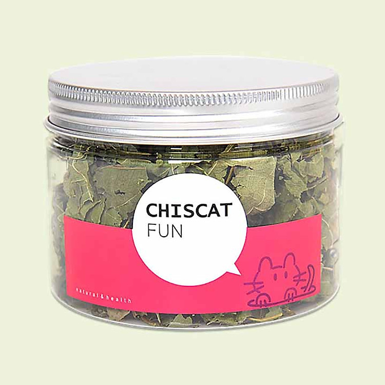 Cỏ bạc hà cho mèo hộp tròn