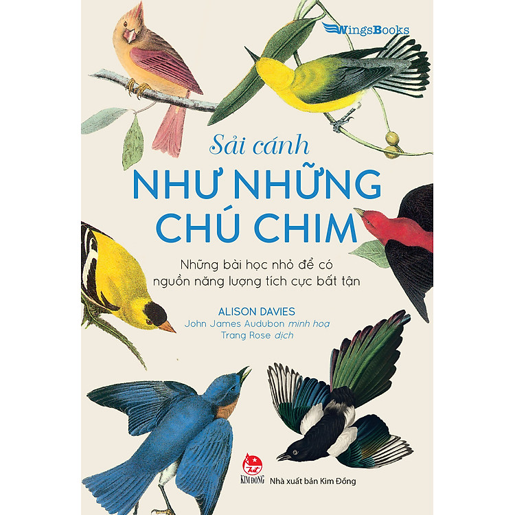(In màu) SẢI CÁNH NHƯ NHỮNG CHÚ CHIM – Alison Davies – Trang Rose dịch – NXB Kim Đồng
