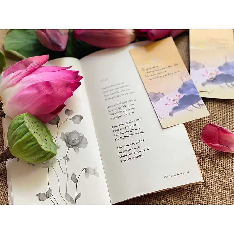 Ru Những Muộn Phiền - Ảnh 3