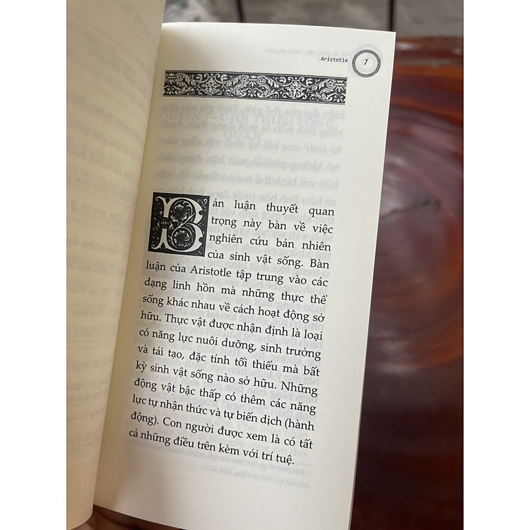Thế Giới Quan Của Aristotle - Ảnh 3