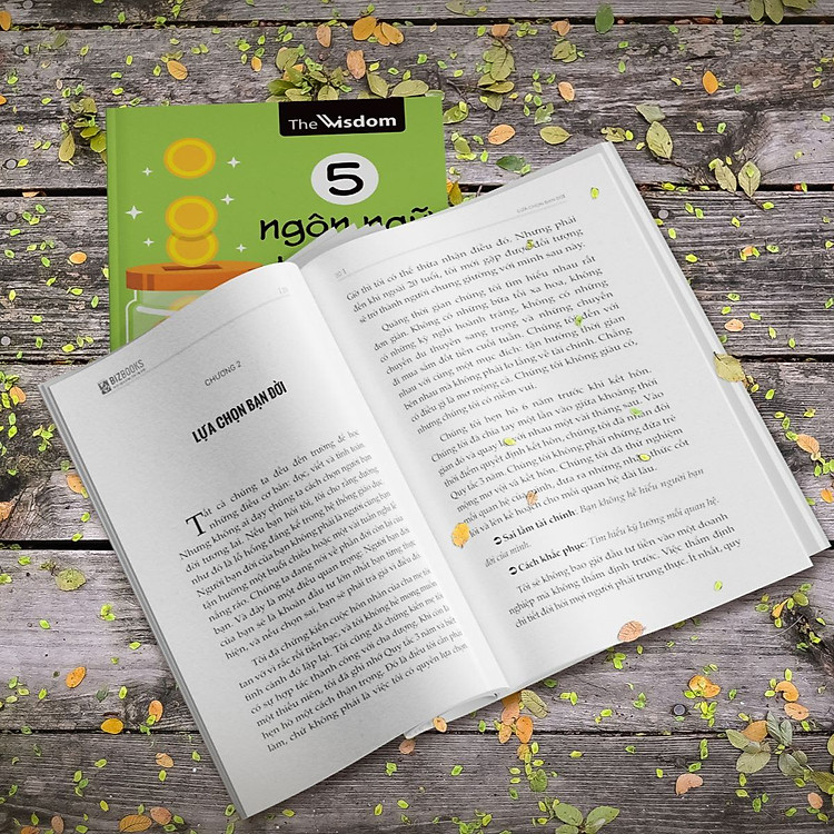 Tiền Đẻ Ra Tiền, 5 Ngôn Ngữ Tiền Bạc, Nam Châm Tài Chính - 21 Ngày Thu Hút Thịnh Vượng - Ảnh 5