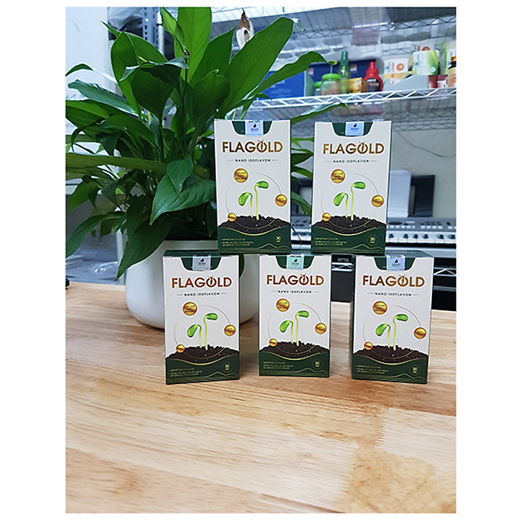 Combo 05 Hộp Viên Uống Nano Mầm Đậu Nành FLAGOLD - Thương Hiệu JIDO