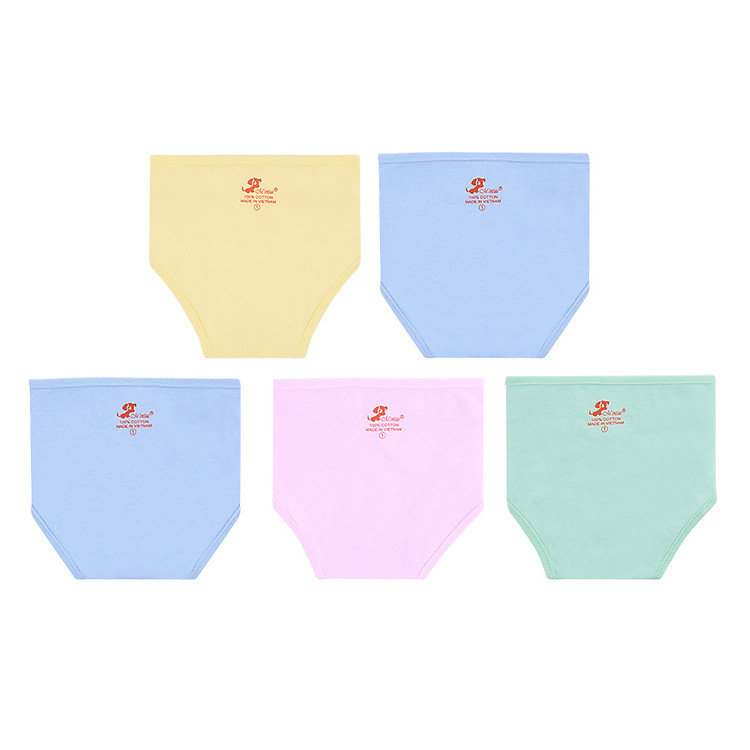 Combo 5 Tã Vải Dán Mintuu (80 x 40 cm)