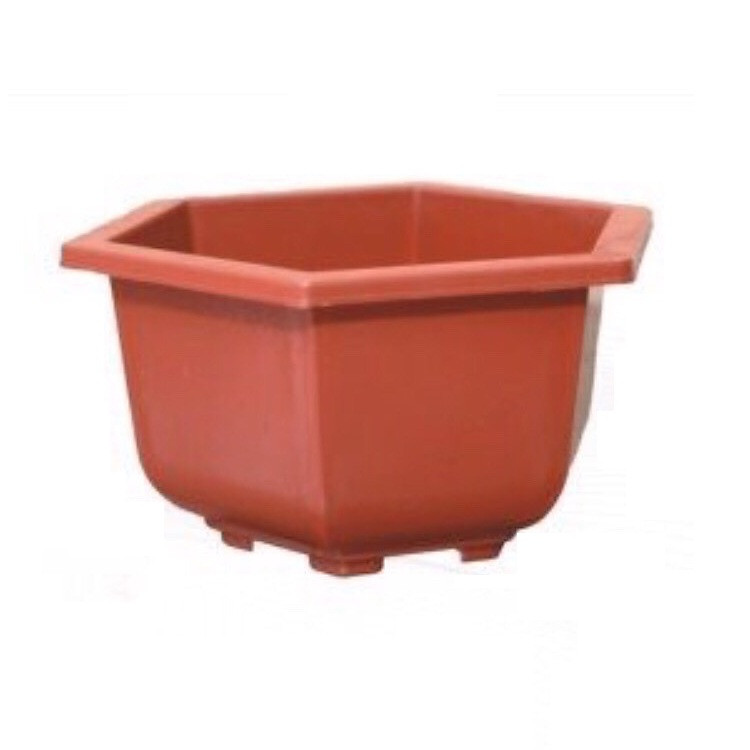 Chậu nhựa bon sai, miệng lục giác (280x180) - Màu nâu đỏ