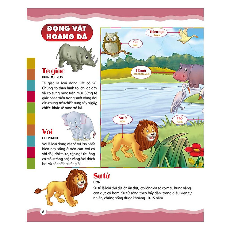 Từ Điển Bằng Hình Của Tôi: Em Thích Miêu Tả - Dành Cho Trẻ Từ 4-6 Tuổi - Ảnh 2