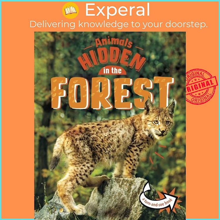 Sách - Animals Hidden in the Forest by Jessica Rusick (UK edition, hardcover)