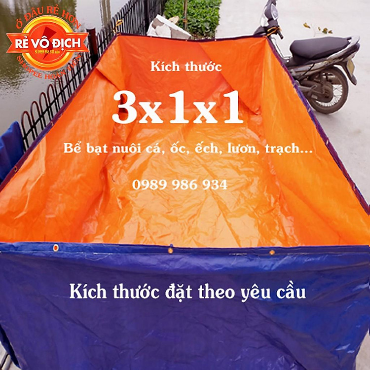 Bể bạt nuôi ốc lươn cá hàng dày dai và đóng khoen buộc