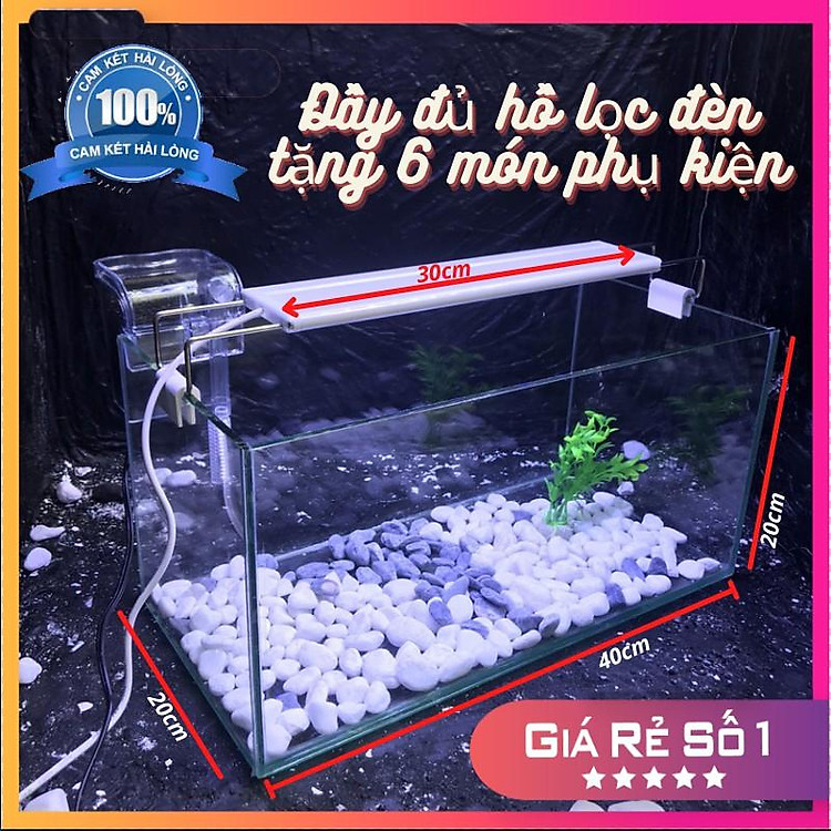 Bể cá mini D40R20C20cm COMBO ĐẦY ĐỦ tặng phụ kiện trang trí